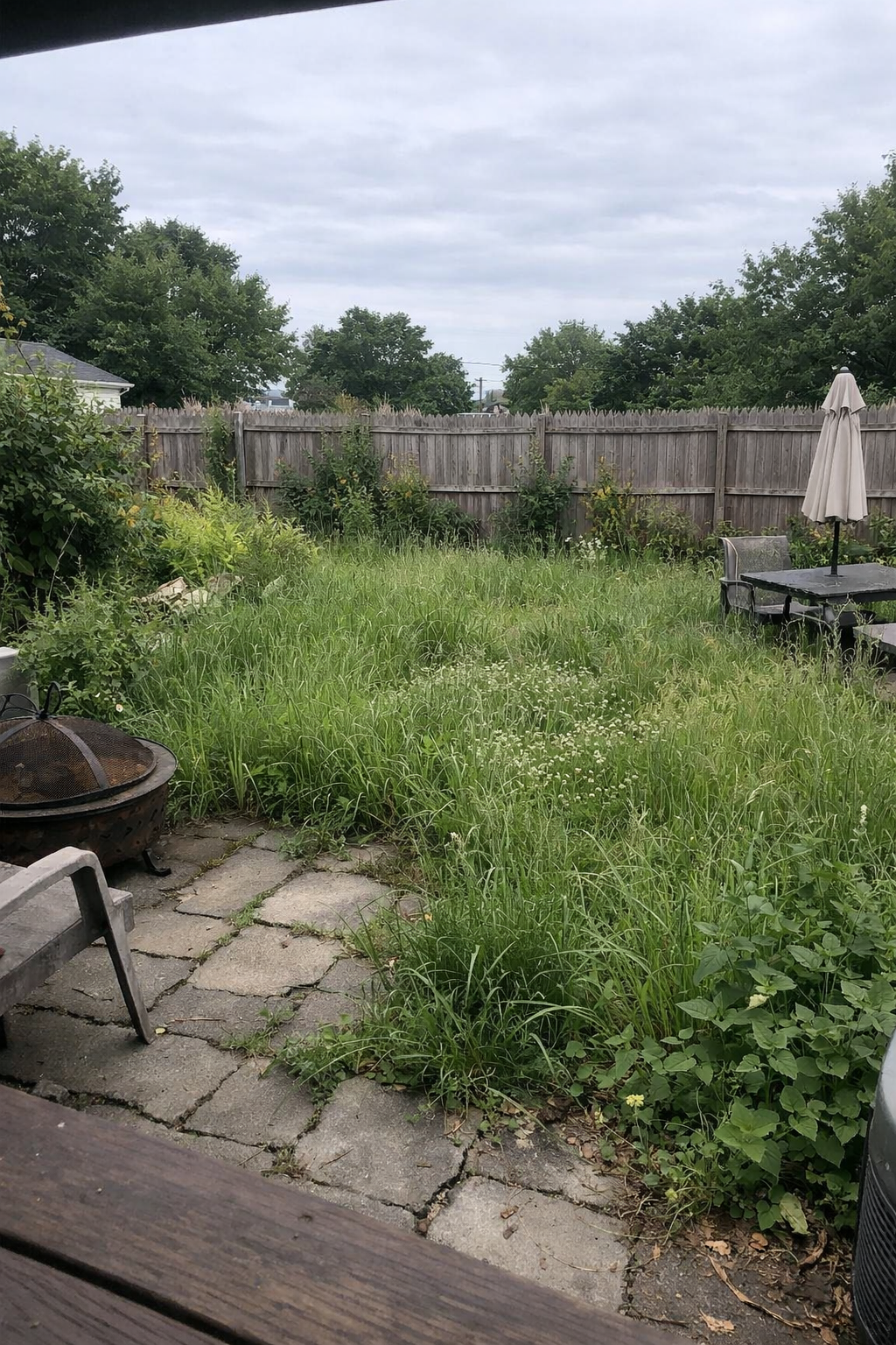 Backyard Savior thumbnail